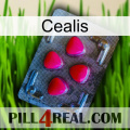 Cealis 13